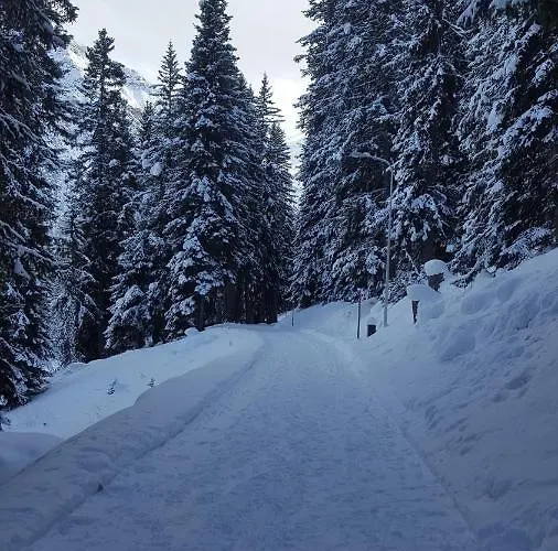 Waldperle アパート